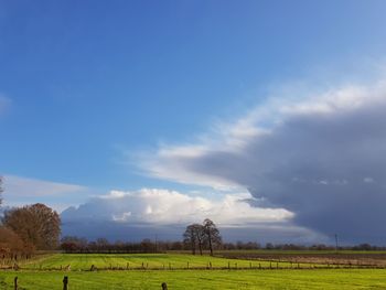 Scenic view of agricultural field against sky