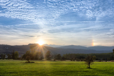 Scenic view of grassy field against sky during sunset