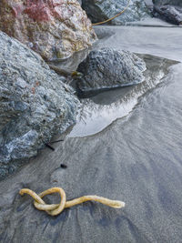 High angle view of rocks on shore