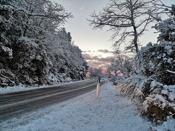 Road amidst trees against sky during winter