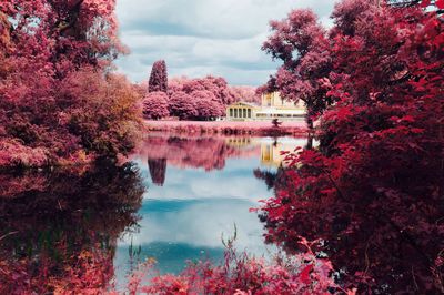 Reflection of trees in park