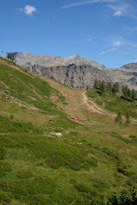 Scenic view of landscape against sky