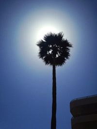 Low angle view of silhouette palm tree against clear blue sky