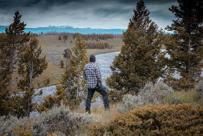 Rear view of man amidst trees against sky