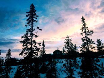 Scenic view of landscape against cloudy sky