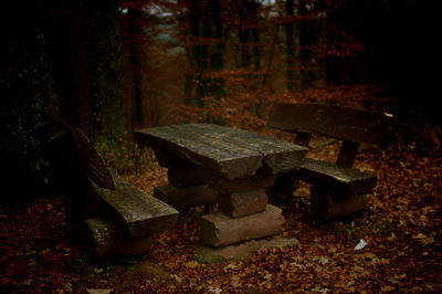 Fallen leaves on field