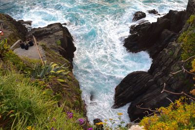 Plants growing on rock formations by sea