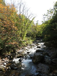 Scenic view of waterfall in forest against sky