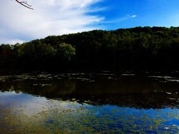 Scenic view of lake by trees in forest against sky