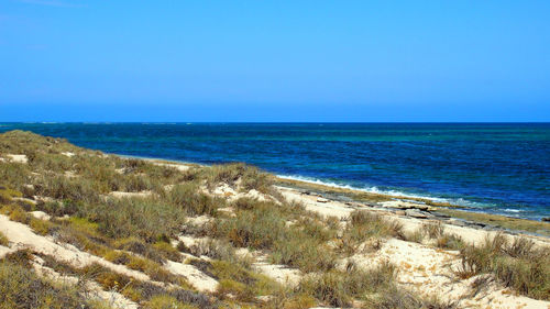 Scenic view of sea against clear blue sky