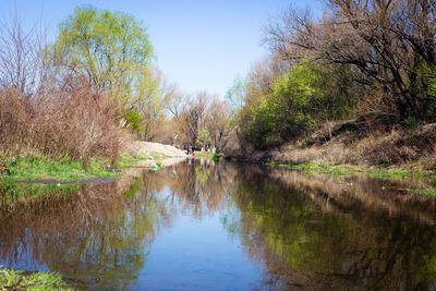 Scenic view of lake in forest against clear sky