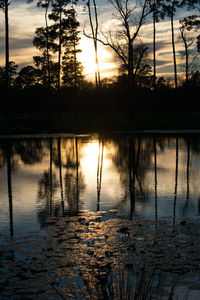 Reflection of silhouette trees on water against sky