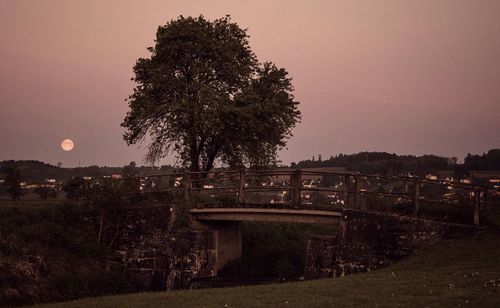 Trees against sky during sunset