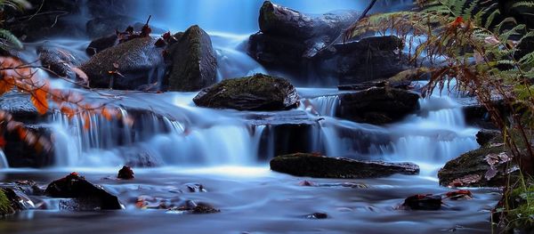 View of waterfall in forest