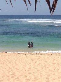 People sitting on beach against sky