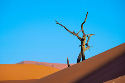 desert