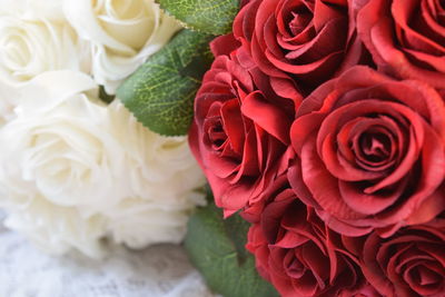 Close-up of red and white roses