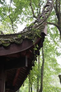 Low angle view of traditional house