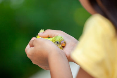 Close-up of woman hand holding bird