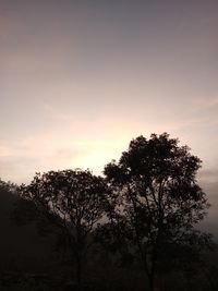 Low angle view of trees against sky during sunset