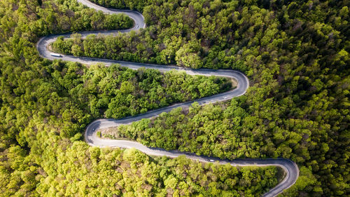 Aerial view of road amidst trees in forest