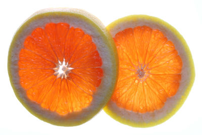 Directly above shot of orange slices