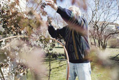 Senior man wearing sweater pruning plants in yard