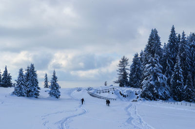 Trees on snow covered landscape against sky
