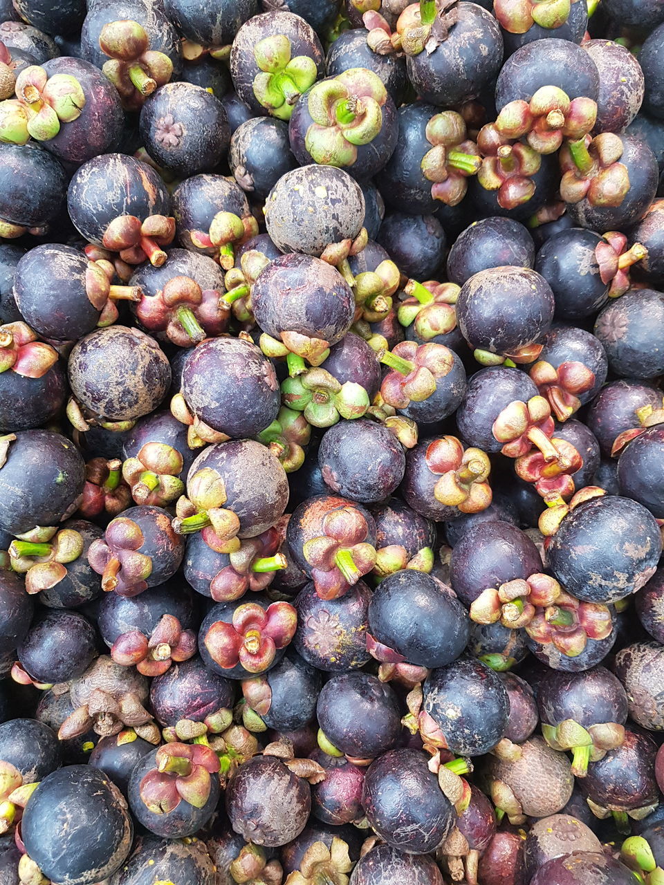 FULL FRAME SHOT OF BLACK AND BLUEBERRIES