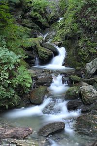 View of waterfall in forest