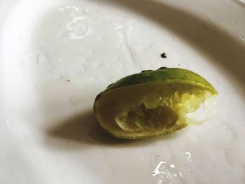 Close-up of lemon slice in plate