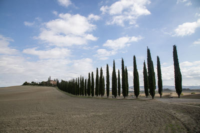 Panoramic shot of field against sky