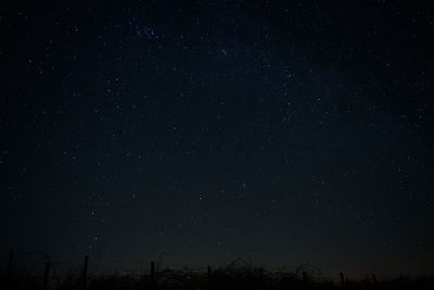 Low angle view of stars against sky at night