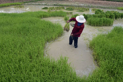 Side view of a farmer at work