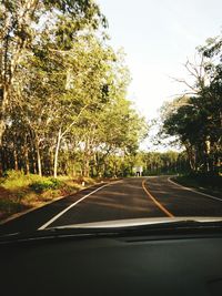 Empty road along trees seen through car windshield