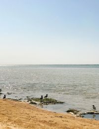 Scenic view of sea against clear sky