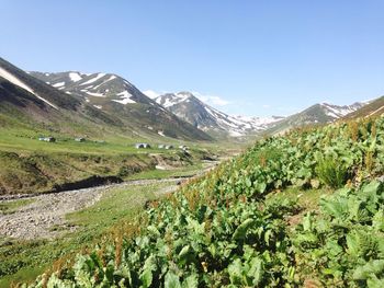 Scenic view of mountains against clear sky