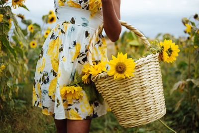 Midsection of person holding yellow flowering plant in basket