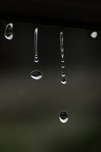 Close-up of water drops hanging