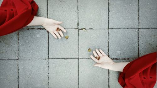 Cropped hands of woman holding with leaves on footpath