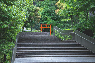 Staircase amidst trees in forest