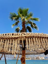 Low angle view of palm trees against clear blue sky