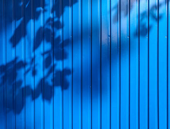 Shadow of tree on blue corrugated iron