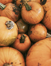 High angle view of pumpkins for sale at market