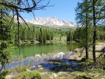 Scenic view of lake by trees against sky