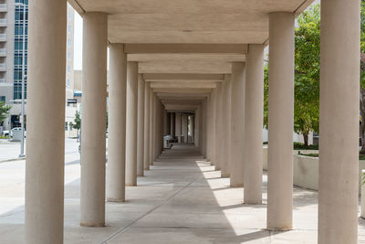 Sunlight falling in empty colonnade