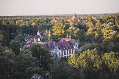 High angle view of trees and plants against buildings in city