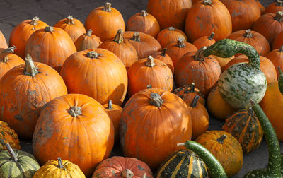 High angle view of pumpkins for sale at market