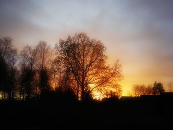 Silhouette bare trees against sky during sunset