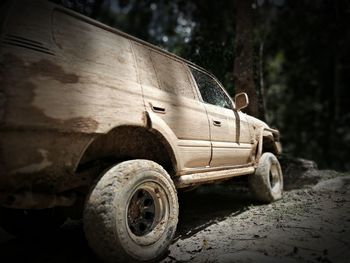 Close-up of car against tree